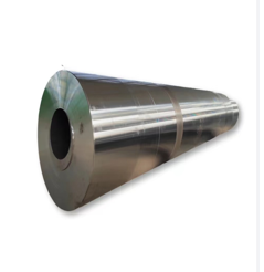 Large hollow forging